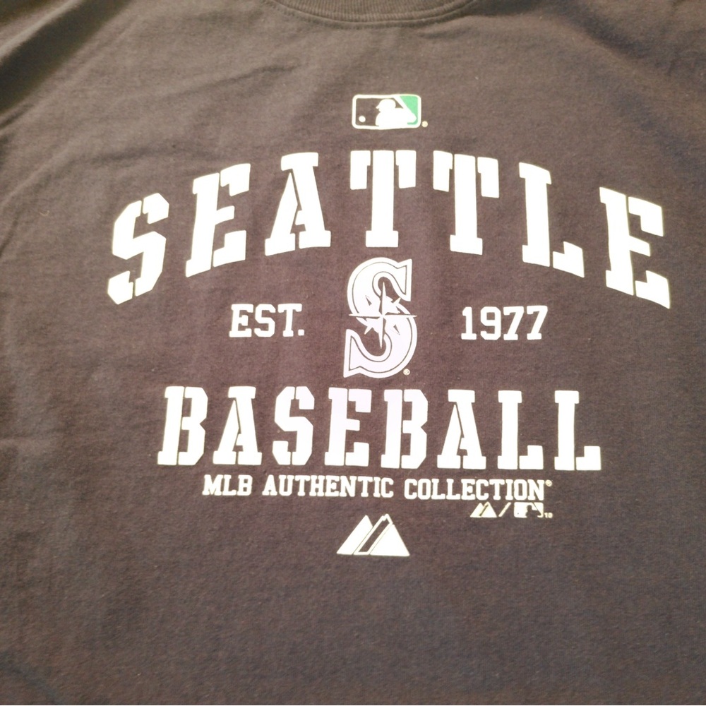 Vintage Seattle Sea Hawks Tee Shirt